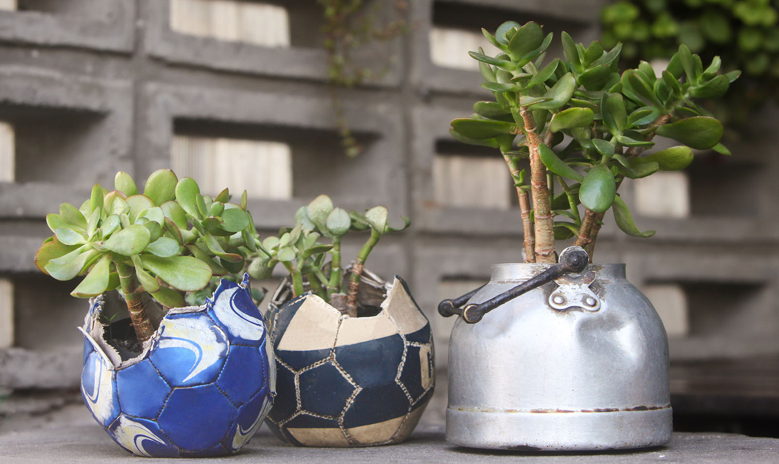 Nachhaltigkeit beginnt im Alltag: Vereine als Vorbilder