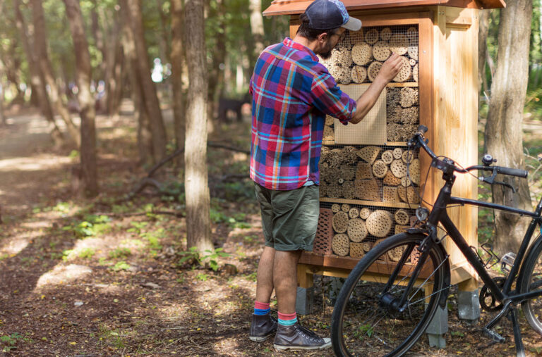 Mann repariert Insektenhotel im Wald. Fahrrad lehnt nebenan